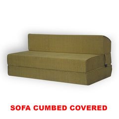 SOFA CUM-BED-COVERED