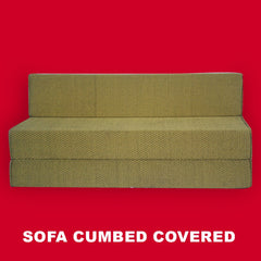 SOFA CUM-BED-COVERED