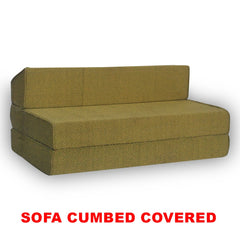 SOFA CUM-BED-COVERED