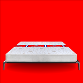 FALCON_(SPRING MATTRESS)