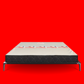 ORTHOSIS_(Rebonded Mattress)