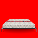 STYLE CLASSIC-TRICOT_(Exclusive Range)